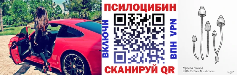 Галлюциногенные грибы мицелий магазин продажи Нурлат