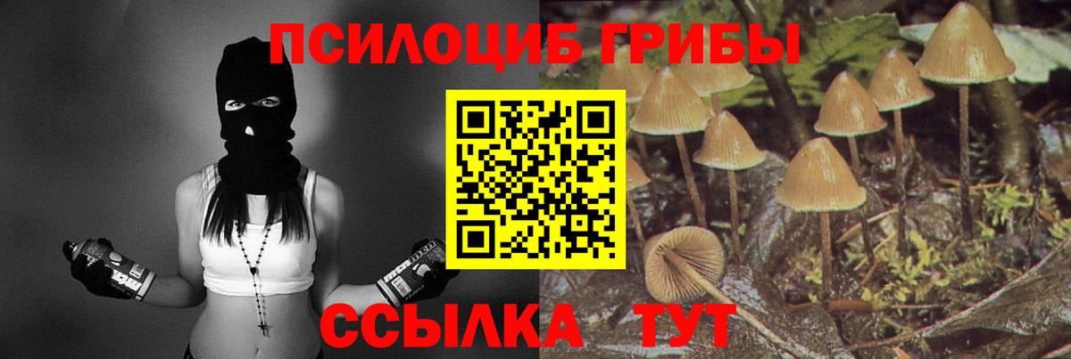 Псилоцибиновые грибы прущие грибы Нурлат