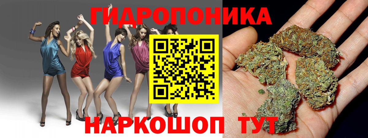Канабис конопля Нурлат